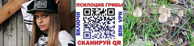 Псилоцибиновые грибы Psilocybine cubensis  Купить  Буйнакск 